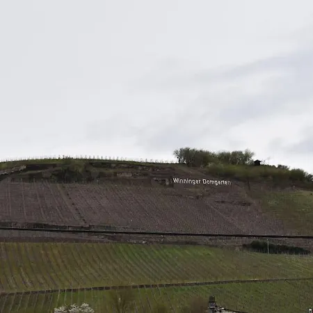 Kleine Auszeit Im Alten Weingut Winningen Eksteriør billede